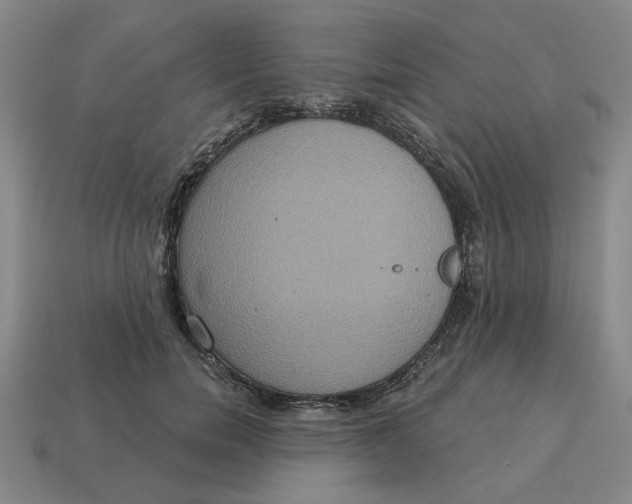 X0000114420750200911061622