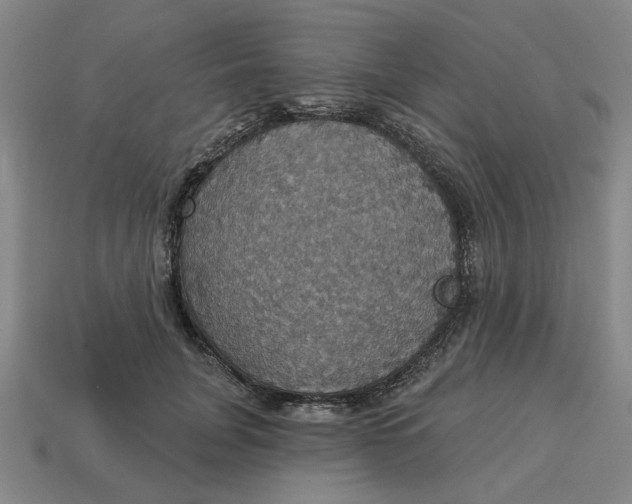 X0000114420751200911061622