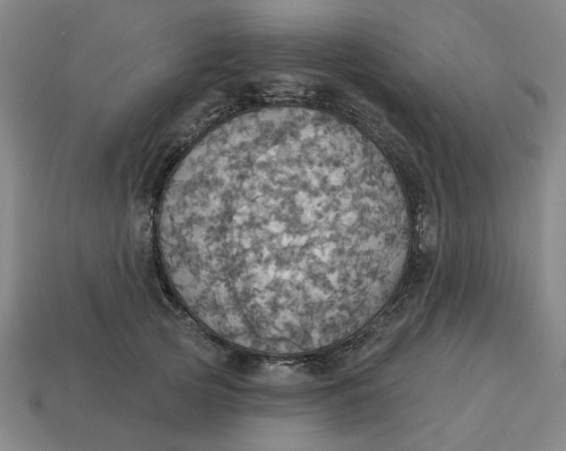 X0000114420753200911061622