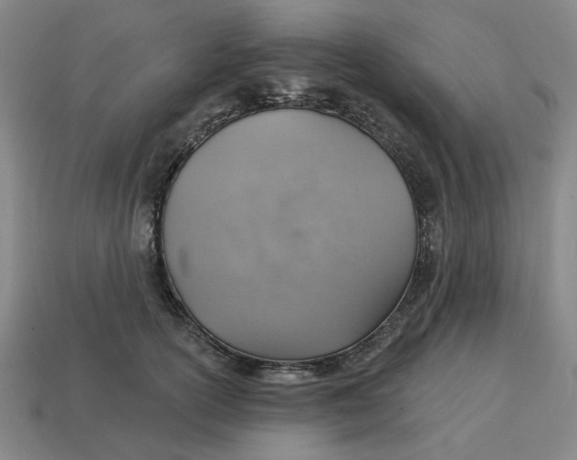 X0000114420754200911061622