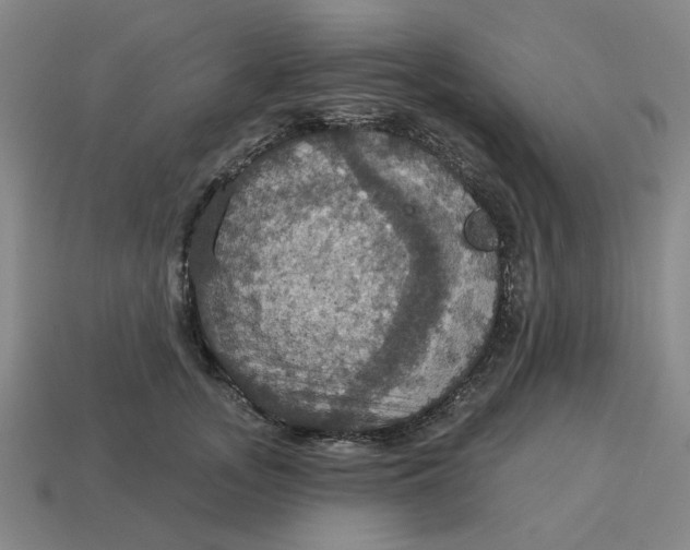 X0000114420755200911061622