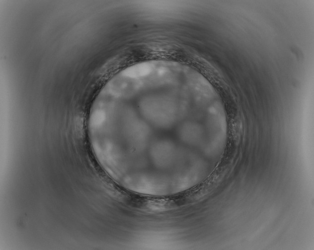 X0000114420757200911061622