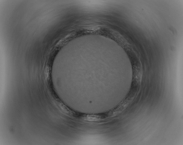 X0000114420758200911061622
