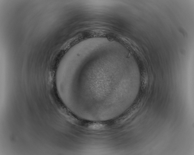 X0000114420759200911061622