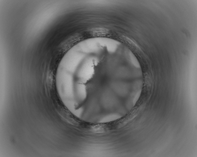 X0000114420761200911061622