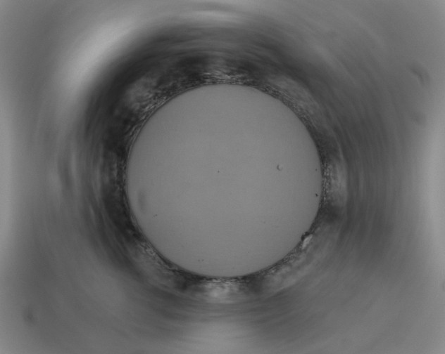 X0000114420762200911061622