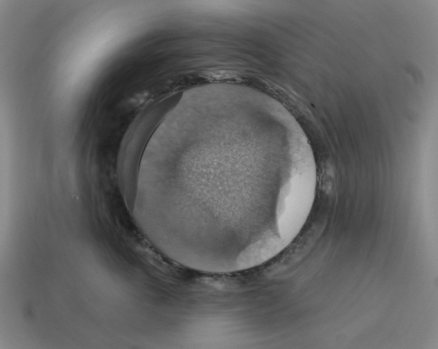 X0000114420763200911061622