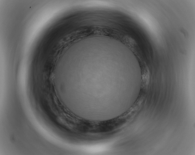 X0000114420765200911061622
