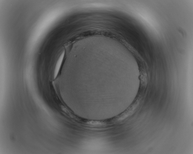 X0000114420766200911061622