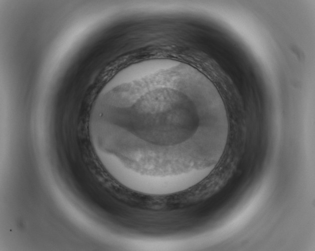 X0000114420767200911061622