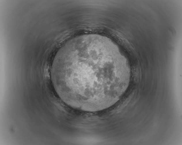 X0000114420770200911061622