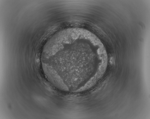 X0000114420771200911061622