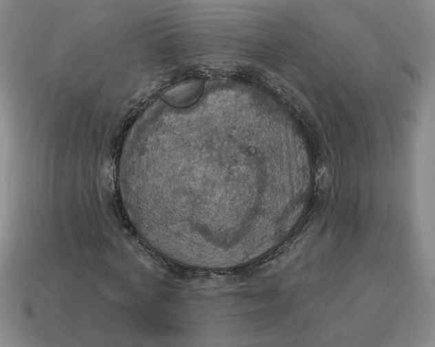 X0000114420772200911061622