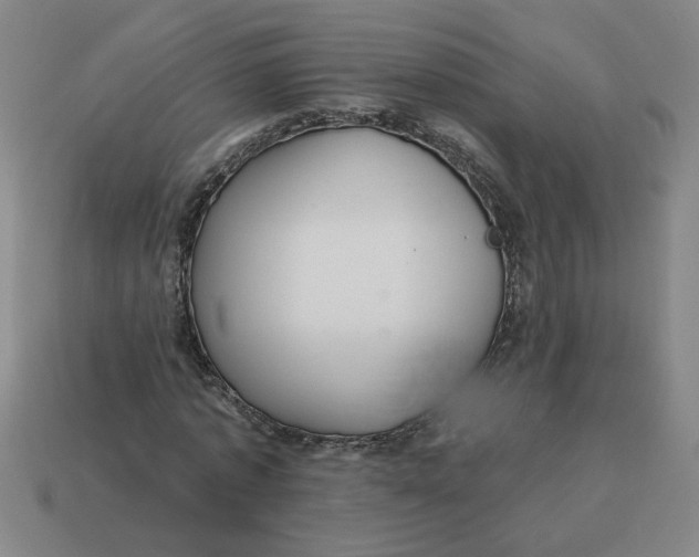 X0000114420773200911061622