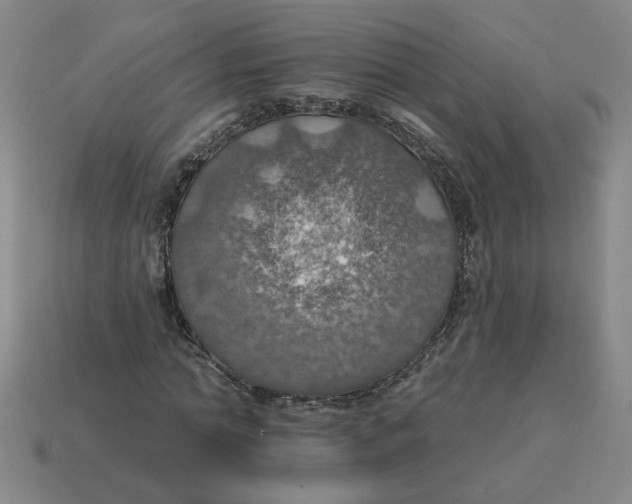 X0000114420774200911061622