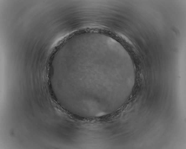 X0000114420775200911061622