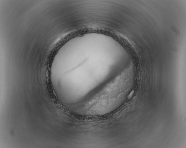 X0000114420776200911061622