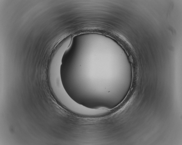 X0000114420777200911061622