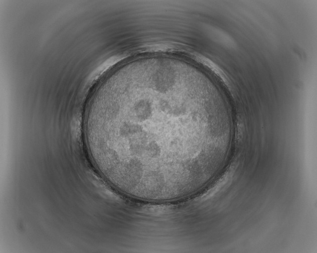 X0000114420778200911061622