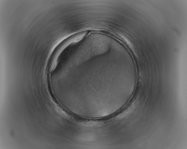 X0000114420779200911061622