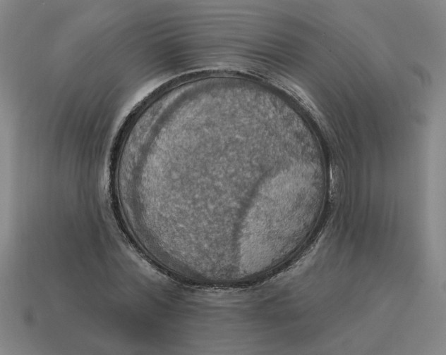 X0000114420780200911061622