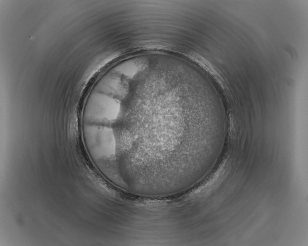 X0000114420782200911061621