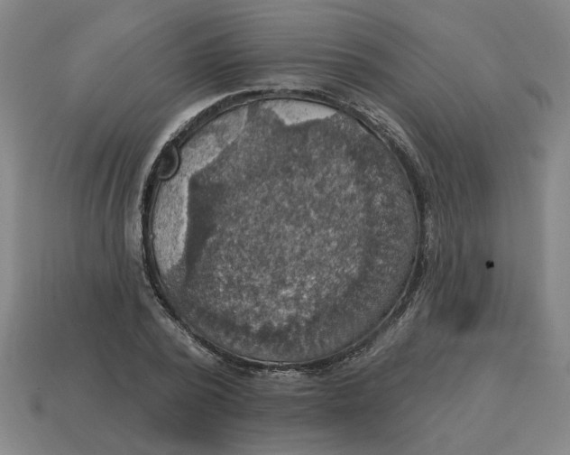 X0000114420784200911061621