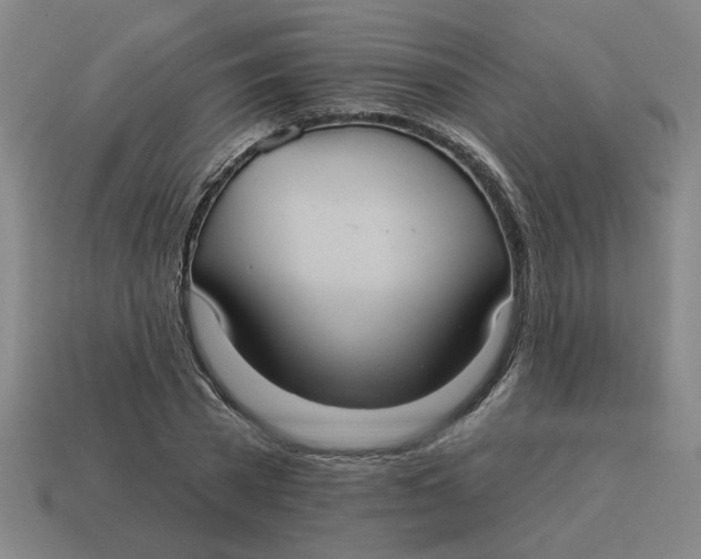 X0000114420785200911061621