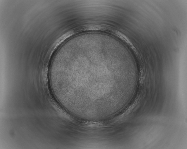 X0000114420786200911061621