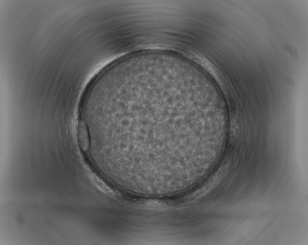 X0000114420787200911061621