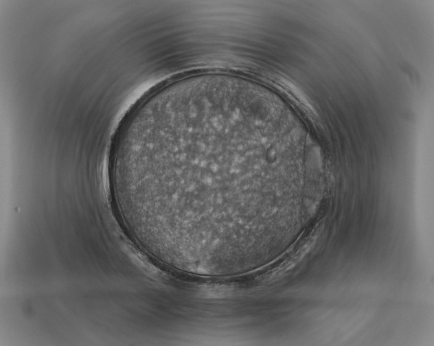 X0000114420788200911061621