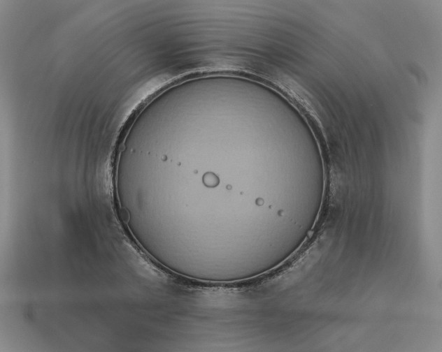 X0000114420789200911061621