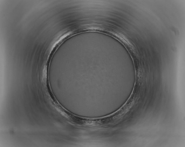 X0000114420790200911061621