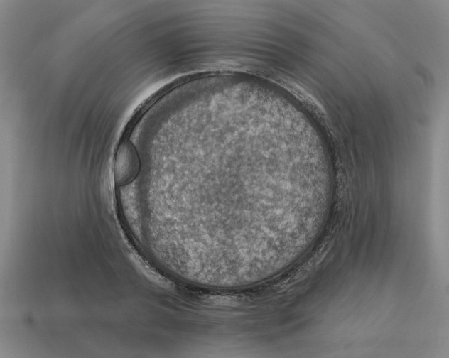 X0000114420792200911061621