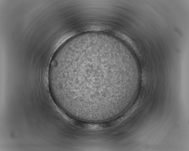 X0000114420794200911061621