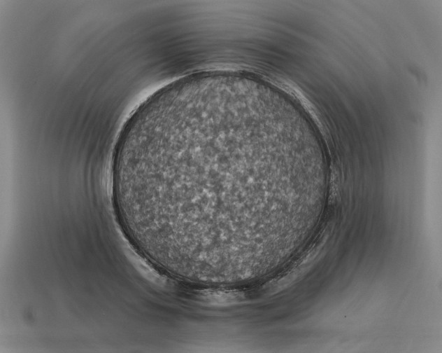 X0000114420795200911061621