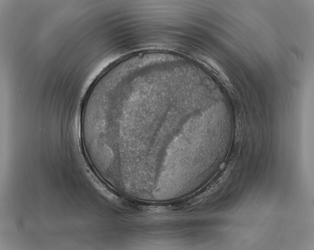 X0000114420796200911061621