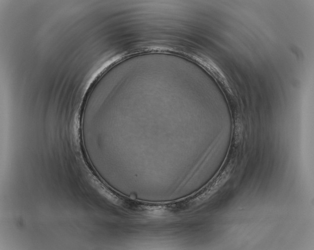 X0000114420798200911061621