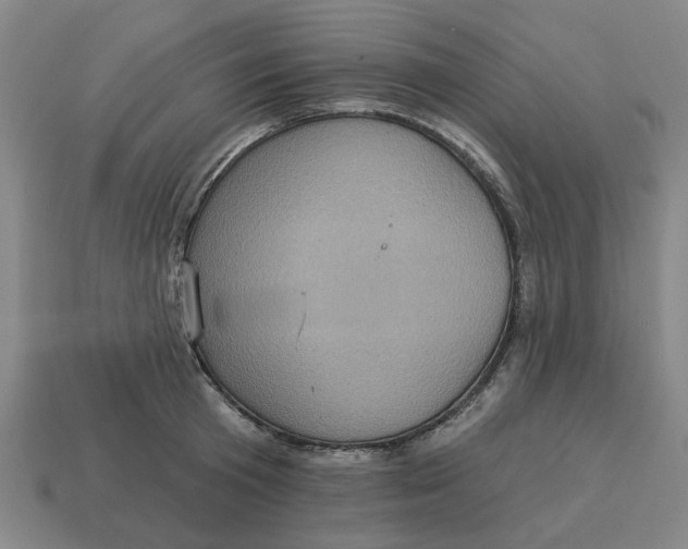 X0000114420801200911061621