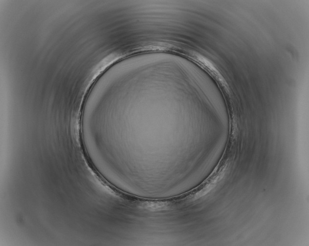 X0000114420802200911061621