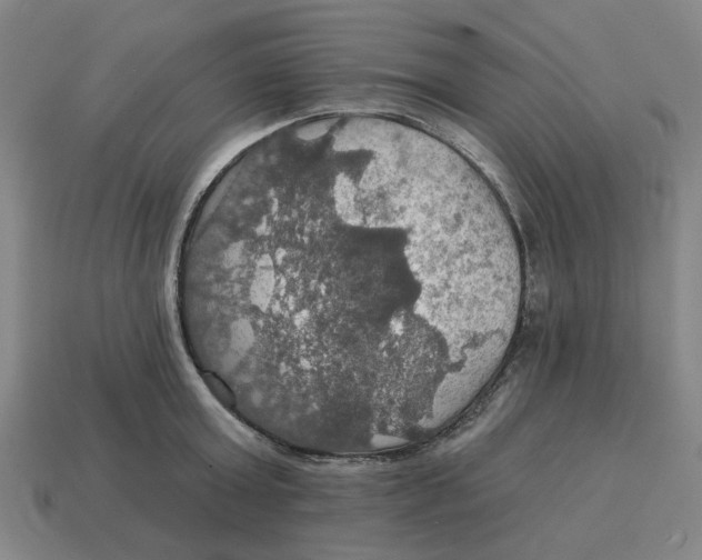X0000114420803200911061621