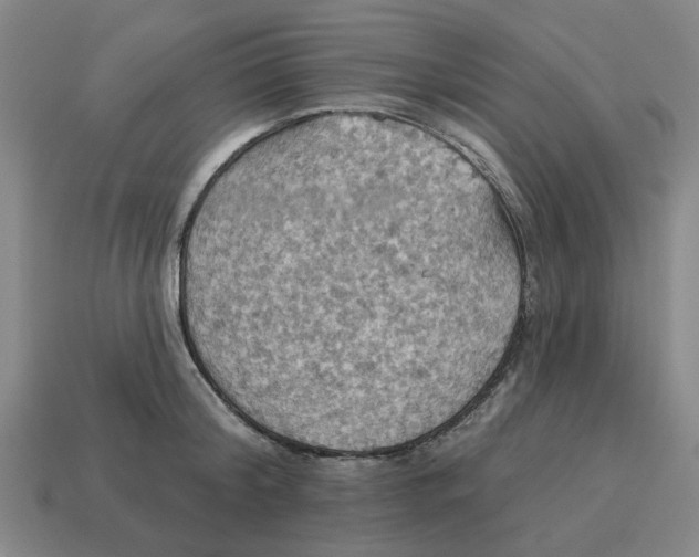 X0000114420804200911061621