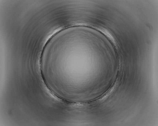 X0000114420806200911061621