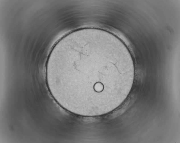 X0000114420807200911061621