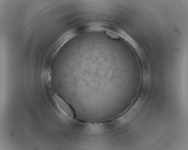 X0000114420809200911061621