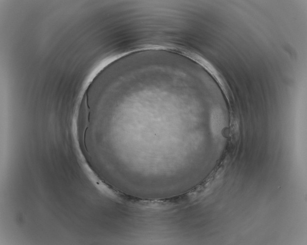 X0000114420811200911061621