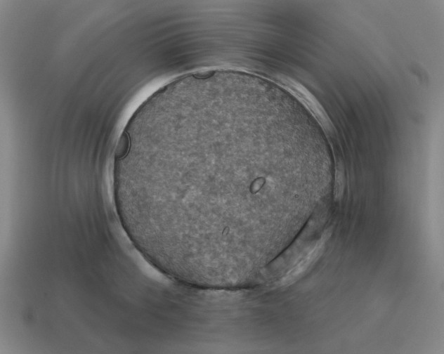 X0000114420812200911061621
