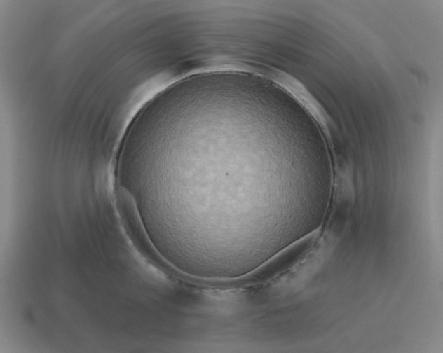 X0000114420813200911061621