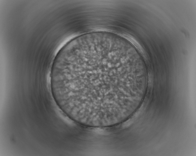 X0000114420814200911061621