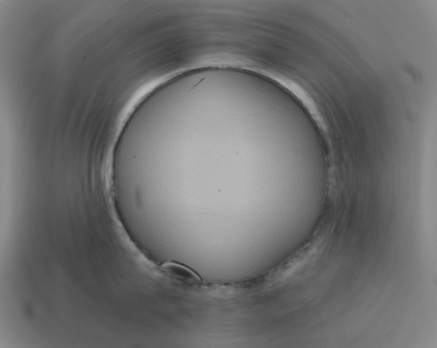 X0000114420815200911061621